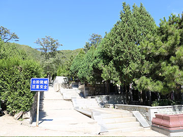 陵园环境
