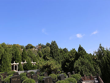 陵园环境